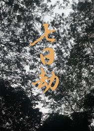 小说七日劫免费阅读